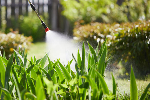 24/7 Emergency Fumigation Services experts in Bunker Hill, IL