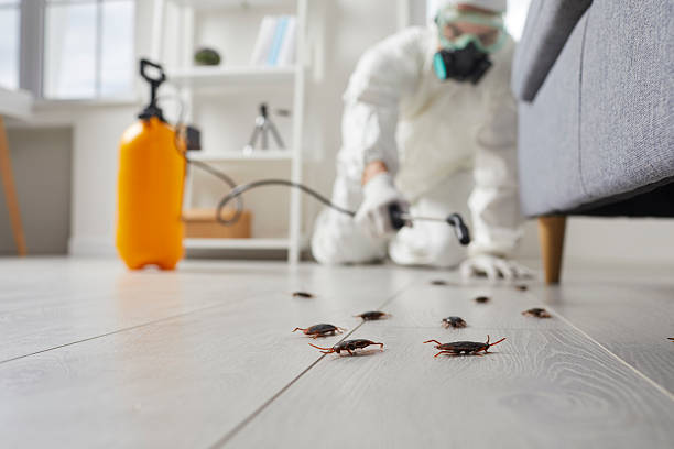 Trusted Termite Control service in Bunker Hill, IL - Nex Pest Control